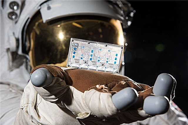 Čudna znanost: nanodelci, alge in organi na čipih, ki se bodo lansirali na SpaceX Dragon