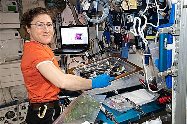 Die NASA-Astronautin Christina Koch wird fast ein Jahr im Weltraum verbringen