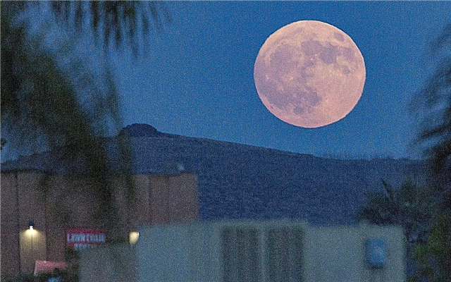 Deixe esta impressionante foto de lua cheia do espaço inspirá-lo a olhar para cima hoje à noite