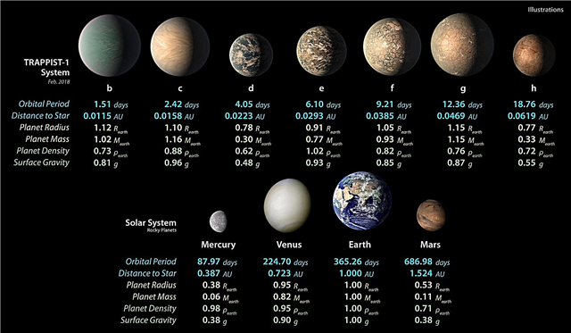 Die außerirdischen Planeten von TRAPPIST-1 sind möglicherweise zu nass fürs Leben