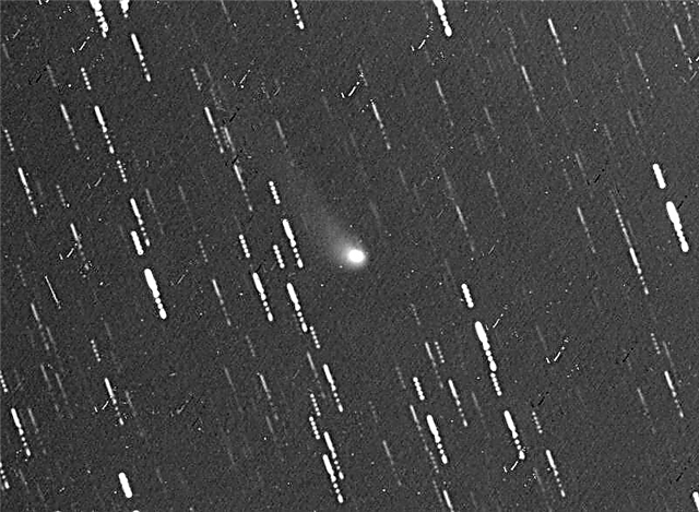 Cometa C / 2005 L3 McNaught mais brilhante do que o esperado