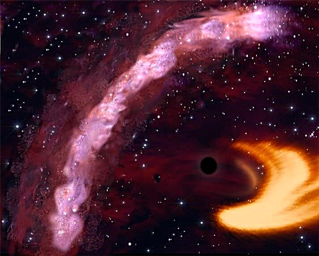 X-Ray Flare Echo revela un toro de agujero negro supermasivo