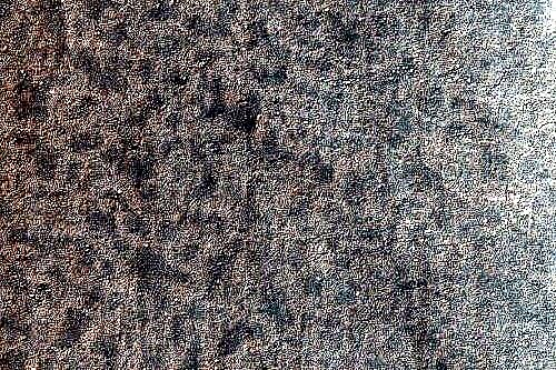 Шукайте полярну землю Марса в нових зображеннях HiRISE