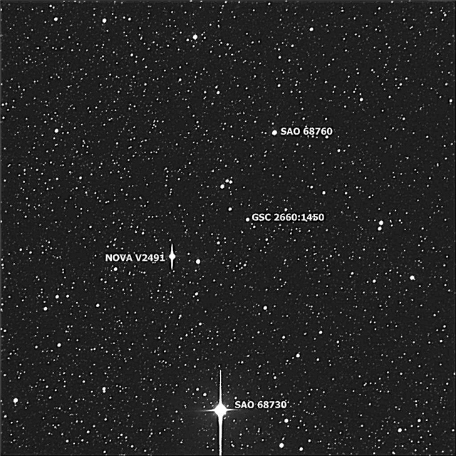 مجلة الفضاء الحصرية - كشف Cygnus Nova V2491 للقراء