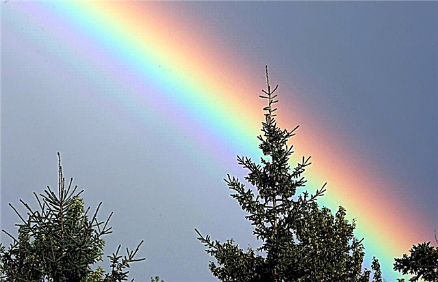 La risplendente inflessibilità dell'arcobaleno