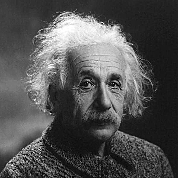 Vem var Albert Einstein?