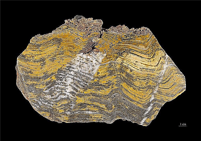 Confirmado. Fósiles que formaron hace 3.500 millones de años, realmente son fósiles. La evidencia más antigua de vida encontrada hasta ahora