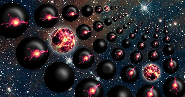 S'il y a un multivers, peut-il y avoir aussi de la vie?