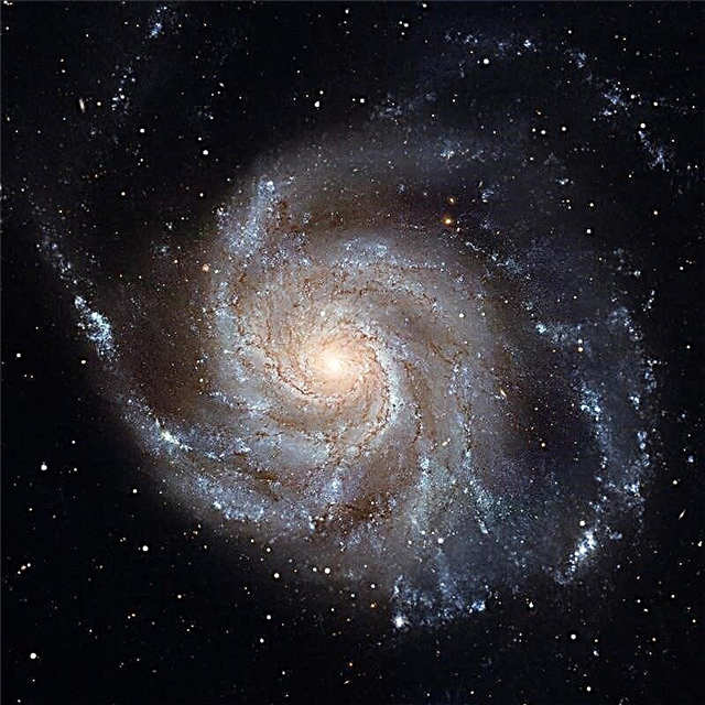 ¿Las galaxias en nuestro universo son más diestras ... o zurdas?