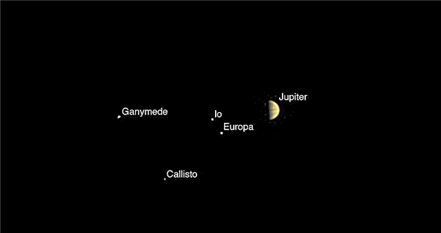 7 dagen na orbitale insertie, NASA's Juno Images Jupiter en zijn grootste manen