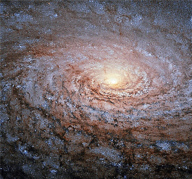 メシエ63-ひまわり銀河