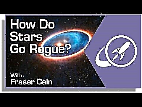Ako hviezdy idú Rogue?