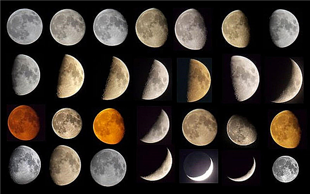 Iagttag Wow! 28 månebilleder taget i en enkelt collage