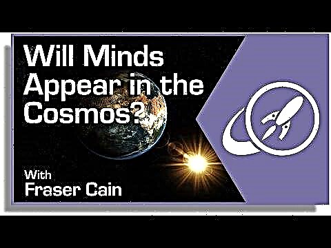 ¿Aparecerán las mentes en el cosmos?