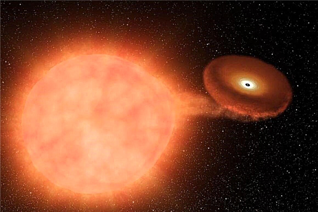 Olvídate de Betelgeuse, la estrella V Sagittae debería volverse nueva en este siglo