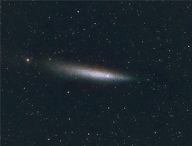 „Kamikaze“ kometa pameta galvą
