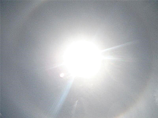 Кольцо вокруг Солнца