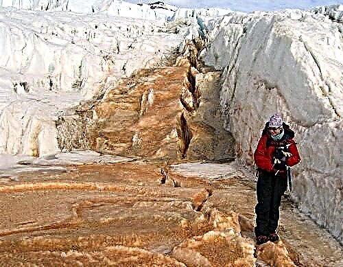 고대 남극 생태계는 다른 세계에서의 삶에 아날로그 일 수있다