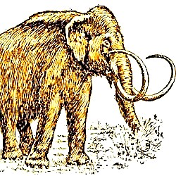 Kas supernoova tappis mammutid?