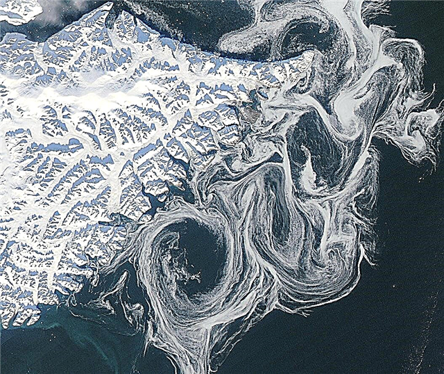 Спутник НАСА видит призрачные остатки исчезающего арктического морского льда