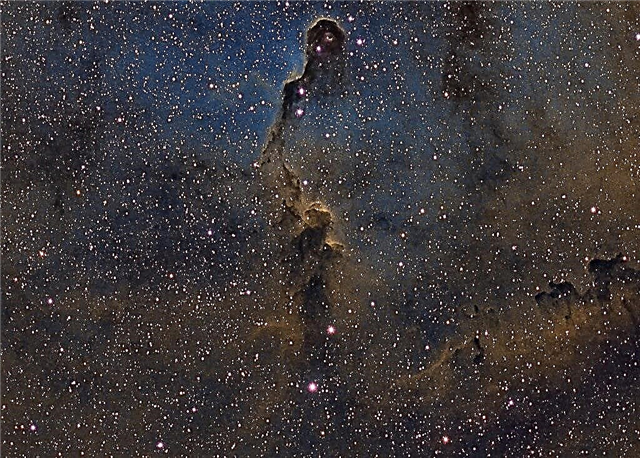 Astrofoto: IC 1396, autor John R. Taylor