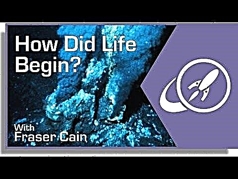 Hvordan begyndte livet?