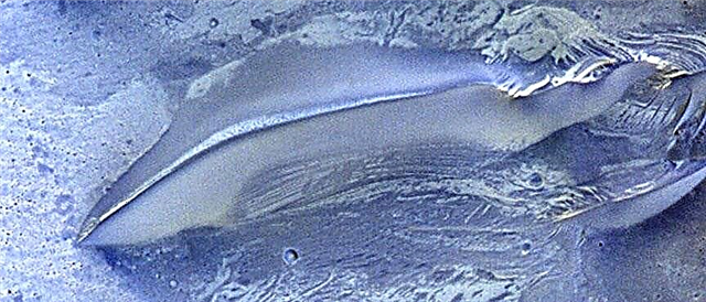 Une région sur Mars avec de l'eau récente est sur le point d'attirer l'attention