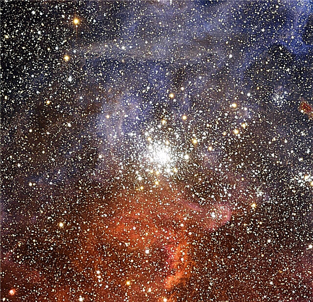 Farverig klynge af stjerner konkurrerer med Tarantula-tågen