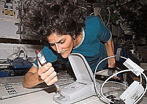 "Tricorder" Memeriksa Mikroba ISS yang Tidak Diinginkan - Majalah Space