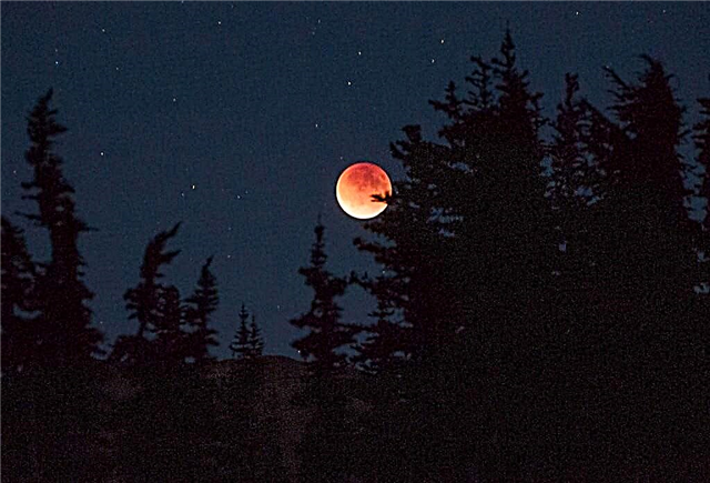 ¿Por qué fue tan oscuro el eclipse lunar de septiembre?
