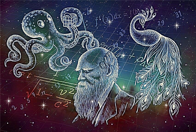 Alien Minds Part III: สวน Octopus และประเทศแห่งคนตาบอด