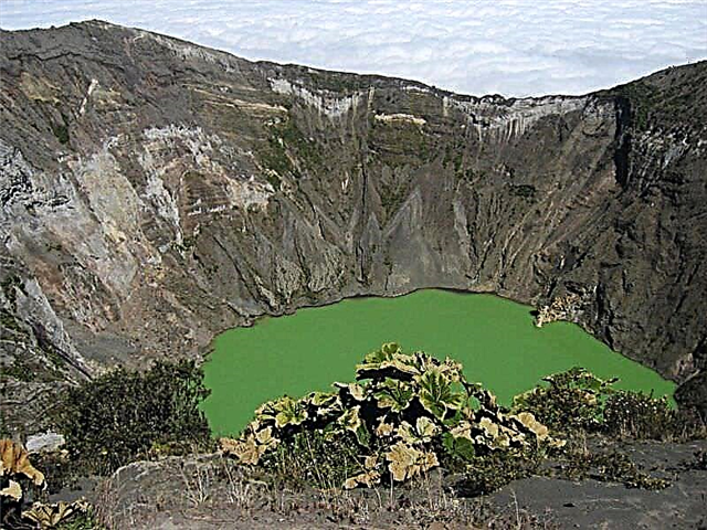 Cratère du volcan