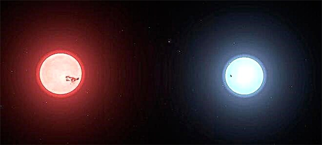 Una enana marrón evitó que una estrella regular pasara por su ciclo de vida completo