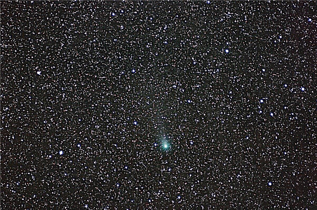 Astrophoto: Sao chổi Garradd của Bob Giáng sinh