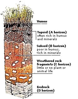 Substrat rocheux
