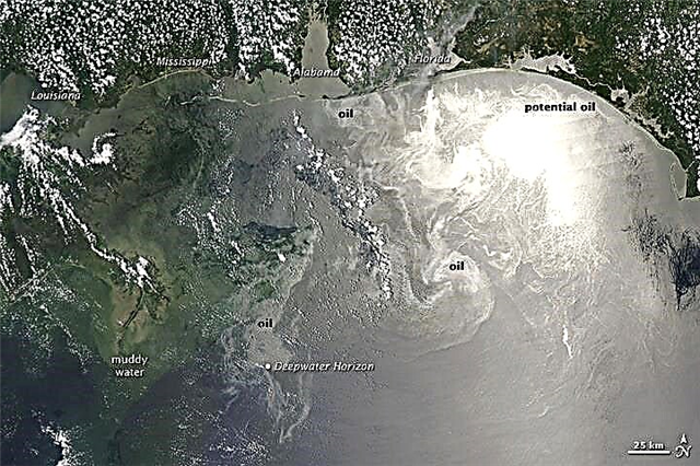 Senaste satellitbilder över oljeläckage, plus dramatisk video om var oljan kan hamna