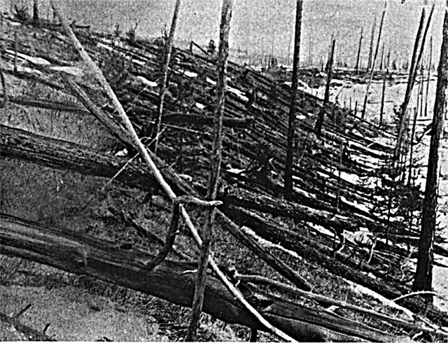 1908 حدث تونجوسكا الذي تسبب فيه المذنب ، يكشف بحث جديد