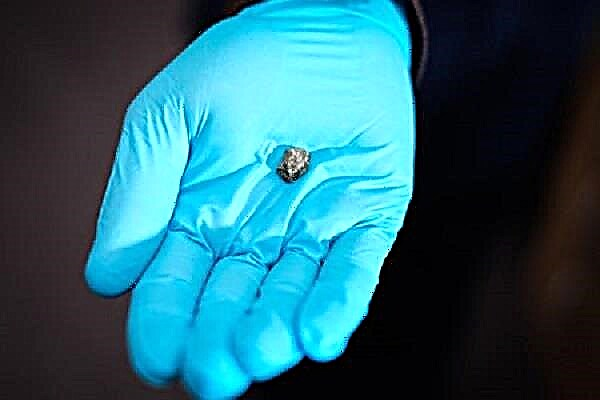 Denne meteorit kom fra en vulkan på Mars