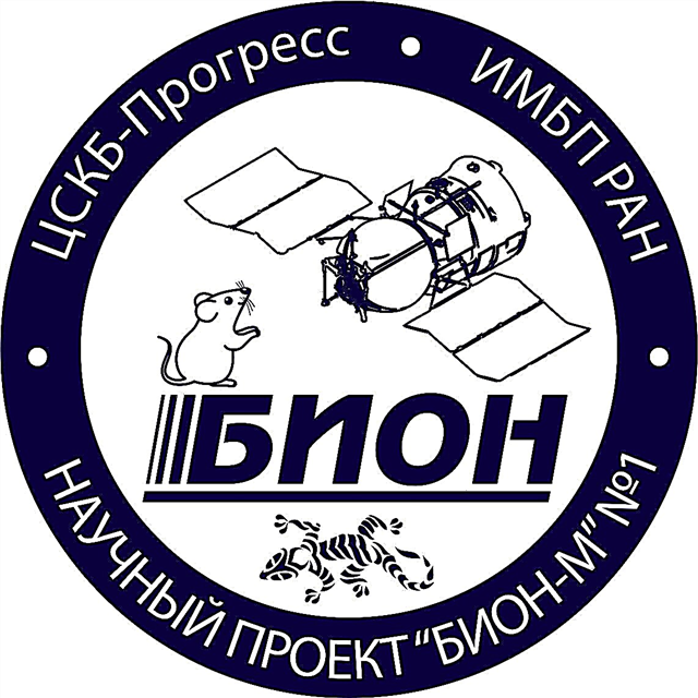 جربيلس ، تموت الفئران مع عودة المركبة الفضائية الروسية إلى الأرض