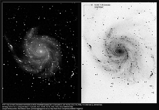 PTF11kly: Messier 101 Supernova SN 2011fe-opdatering