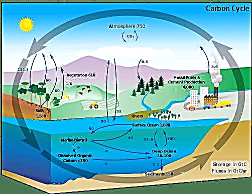 ¿Qué es el dióxido de carbono?