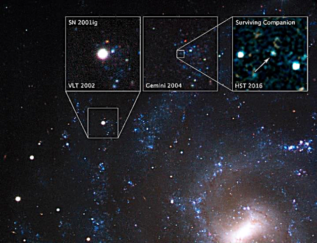 Per la prima volta, gli astronomi hanno trovato una stella sopravvissuta al suo compagno che esplode come supernova