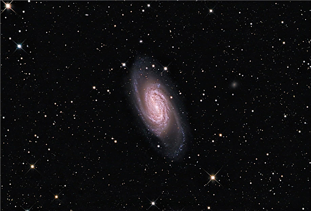 Yo podría haber sido un contendiente ... NGC 2903 por Warren Keller