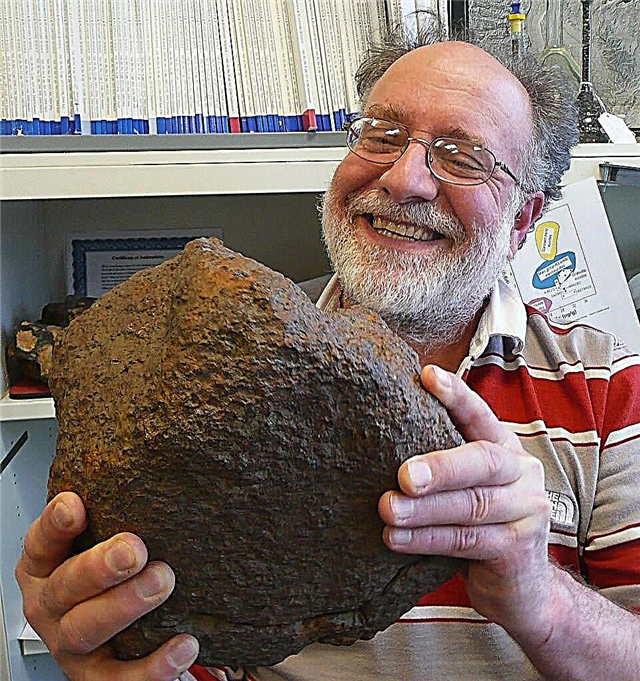 ミズーリで発見された希少なパラサイト隕石