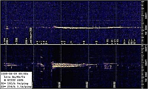 علم الفلك الراديوي بيرسيد من القاعدة الرابعة مع كريس لينتوت