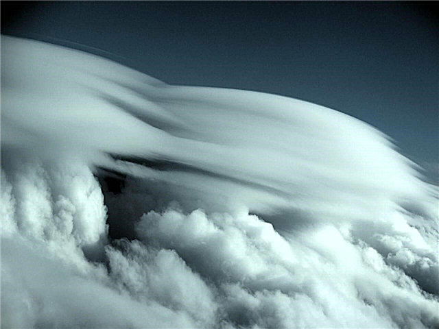 Prva zapažanja bioloških čestica u visokim oblacima