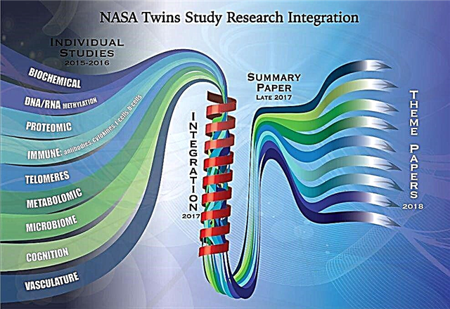 Pesquisadores da NASA Twins Study levam os dados genéticos ao próximo nível