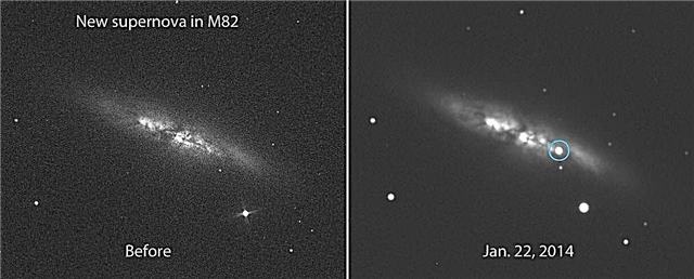 Helle neue Supernova explodiert im nahe gelegenen M82, der Zigarrengalaxie