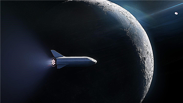 Elon Musk verrät, wer der erste Mondtourist sein wird