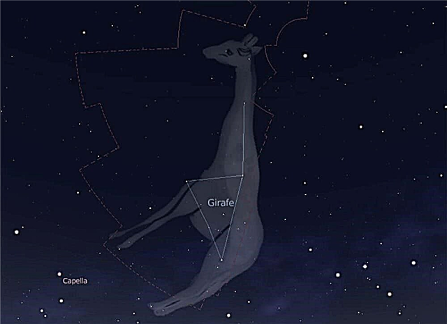 The Constellation Camelopardalis